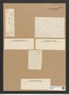 Licmophora tenuistriatum (Kuetz.) Grun. (de-Toni-Nr.: Genus 86, Species 2973) Zeichnungen Sammlung Grunow Nr. 6038 (NHMW-BOT-W0374543)